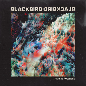 There Is Nowhere - Blackbird Blackbird | Song Album Cover Artwork
