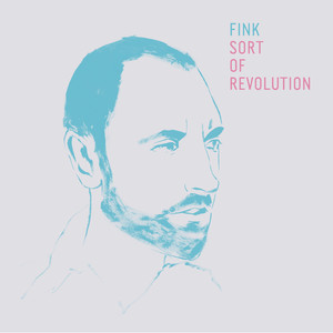 Sort Of Revolution (The Cinematic Orchestra Remix) - Fink | Song Album Cover Artwork