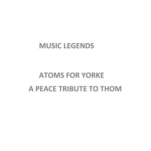 Black Swan - Thom Yorke | Song Album Cover Artwork