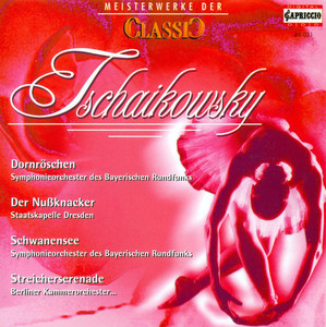 Piano Concerto #1 - Allegro  - Peter Tchaikovsky | Song Album Cover Artwork