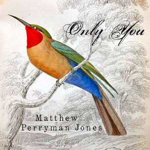 Only You - Matthew Perryman Jones | Song Album Cover Artwork