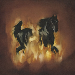 For Agent 13 - The Besnard Lakes