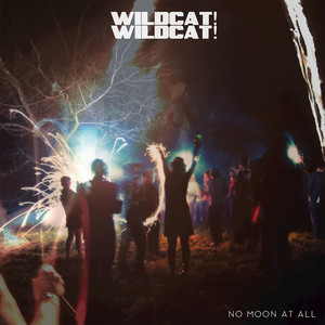 Nothing Below - Wildcat! Wildcat! | Song Album Cover Artwork