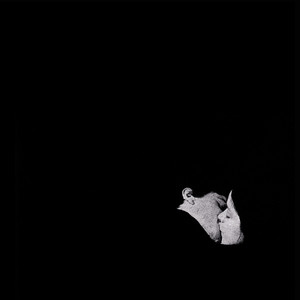 Tearing Me Up Bob Moses | Album Cover