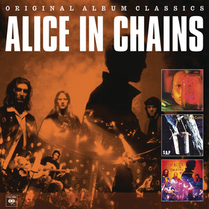 Would? - Alice in Chains | Song Album Cover Artwork