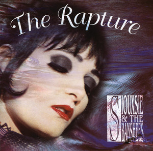 Sick Child Siouxsie and The Banshees | Album Cover
