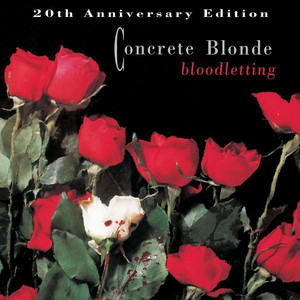 I Want You - Concrete Blonde | Song Album Cover Artwork