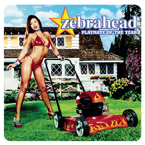 Playmate Of The Year - Zebrahead 