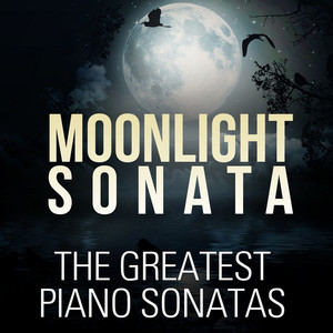 Rondo Alla Turca, Piano Sonata No. 11 - Wolfgang Amadeus Mozart | Song Album Cover Artwork
