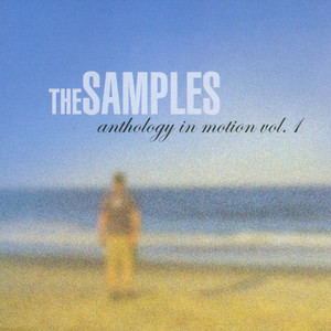 Could It Be Another Change? - The Samples