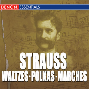 The Beautiful Blue Danube Waltzes - Johann Strauss | Song Album Cover Artwork