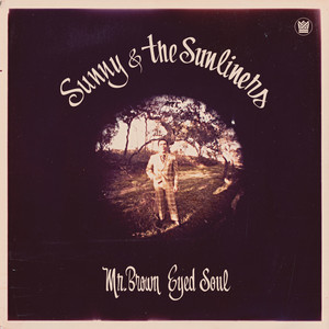The One Who's Hurting Is You - Sunny & The Sunliners | Song Album Cover Artwork
