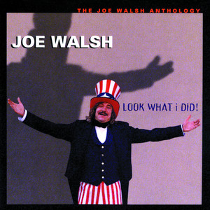Life of Illusion - Joe Walsh | Song Album Cover Artwork
