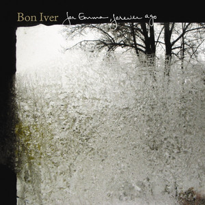 The Wolves (Act I and II) - Bon Iver | Song Album Cover Artwork
