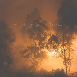 Take This Heart of Gold - Mandolin Orange | Song Album Cover Artwork