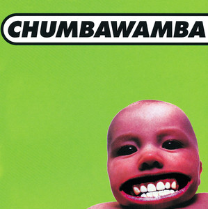 Tubthumping Chumbawamba | Album Cover