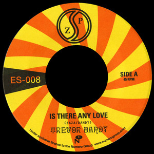 Is There Any Love - Trevor Dandy