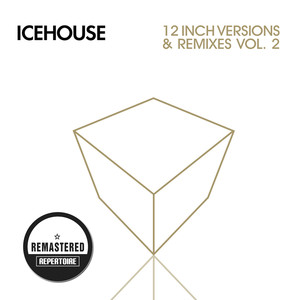 Wild - Icehouse | Song Album Cover Artwork
