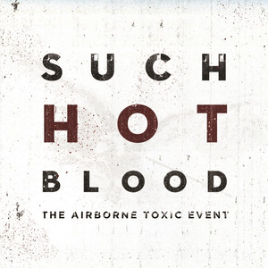 The Storm - The Airborne Toxic Event | Song Album Cover Artwork