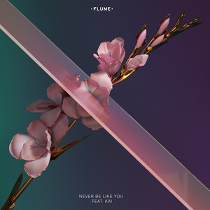 Never Be Like You (feat. Kai) - Flume | Song Album Cover Artwork