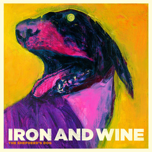 Lovesong Of The Buzzard - Iron & Wine