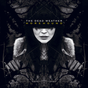 Rocking Horse - The Dead Weather | Song Album Cover Artwork