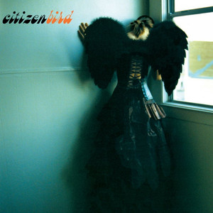 I Love You - Citizen Bird