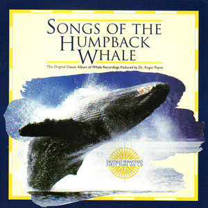 Solo Whale - Frank Watlington
