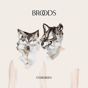 Bridges - Broods | Song Album Cover Artwork