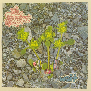 Lithium - The Polyphonic Spree | Song Album Cover Artwork