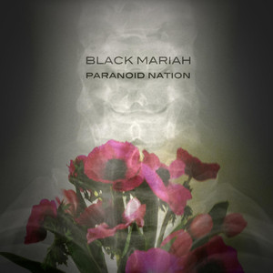 Transistor - Black Mariah | Song Album Cover Artwork