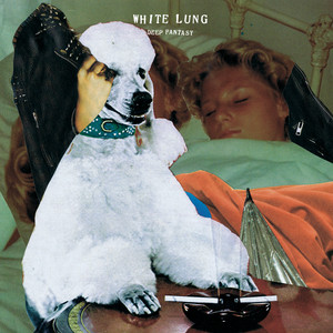 Down It Goes - White Lung | Song Album Cover Artwork