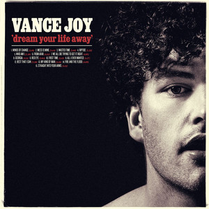 Fire and the Flood - Vance Joy | Song Album Cover Artwork