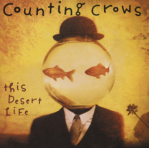 Amy Hit The Atmosphere - Counting Crows