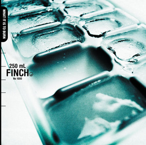 What It Is to Burn Finch | Album Cover