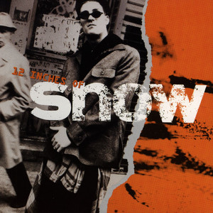 Informer Snow | Album Cover