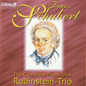 Trio in E flat major, Op. 100 D 929: Andante con moto Rubinstein Trio | Album Cover