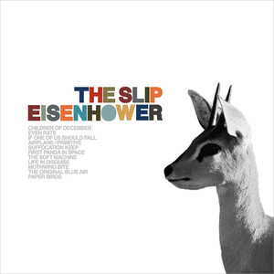 Life In Disguise - The Slip