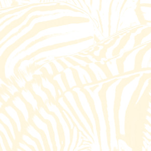 Zebra - Beach House | Song Album Cover Artwork