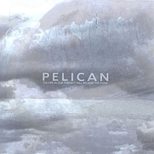 Autumn Into Summer Pelican | Album Cover