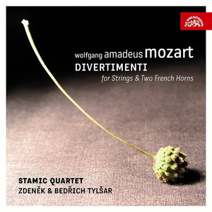 Divertimento for Strings and Two French Horns in F major, K. 247: III. Menuetto - Stamic Quartet