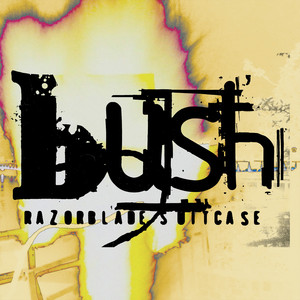Broken TV - Bush | Song Album Cover Artwork