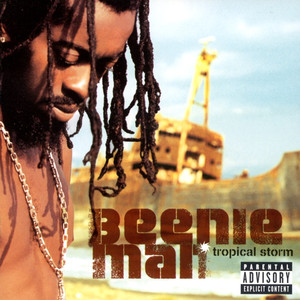 Party Hard - Beenie Man | Song Album Cover Artwork