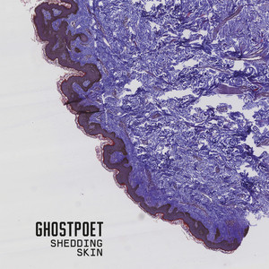 Be Right Back, Moving House (feat. Paul Smith) - Ghostpoet | Song Album Cover Artwork