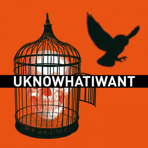 Uknowhatiwant - Elektrisk Gonner | Song Album Cover Artwork