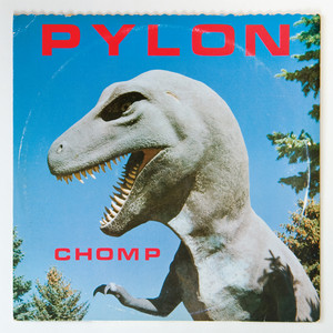 Crazy - Pylon | Song Album Cover Artwork