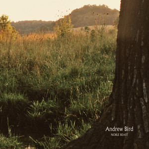 Natural Disaster Andrew Bird | Album Cover