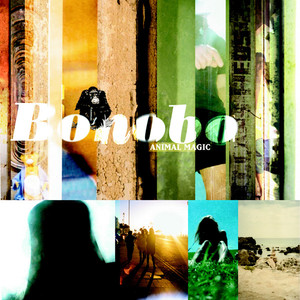 Silver - Bonobo | Song Album Cover Artwork