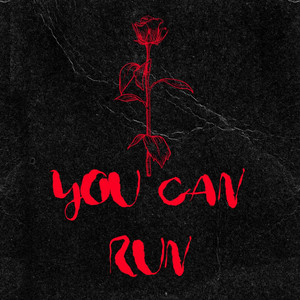 You Can Run Adam Jones | Album Cover
