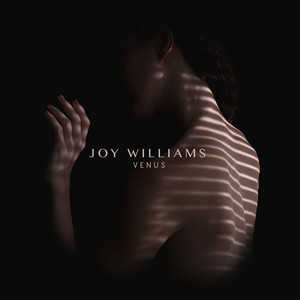 Until the Levee - Joy Williams | Song Album Cover Artwork